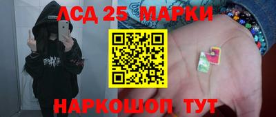 шишки Тверь